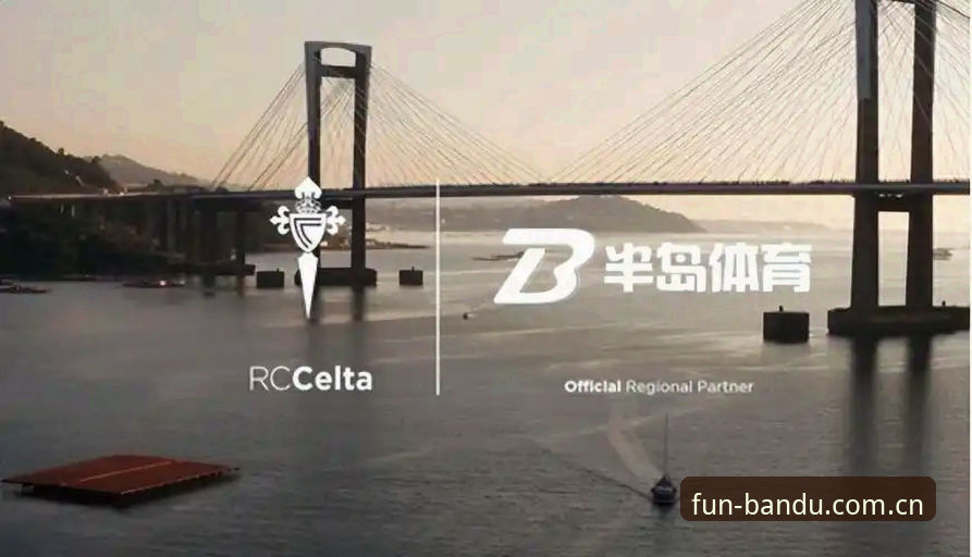 半岛体育平台 vs 传统娱乐平台：注册教程与体验全面对比